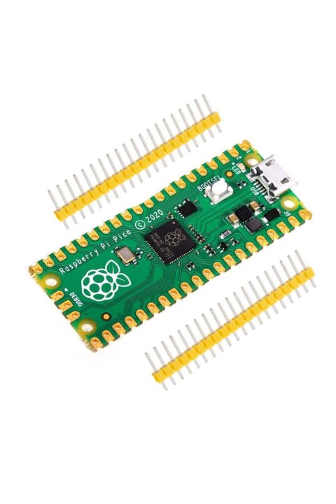 Raspberry Pi Pico (&Ccedil;in &Ccedil;ipli)