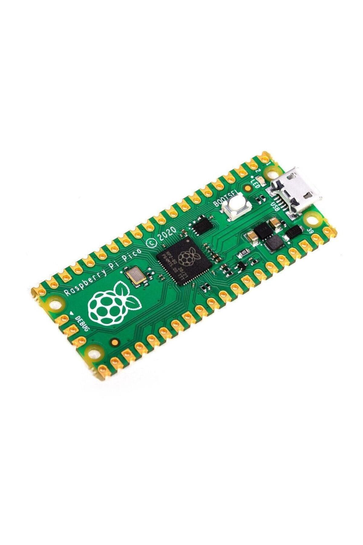 Raspberry Pi Pico (&Ccedil;in &Ccedil;ipli)