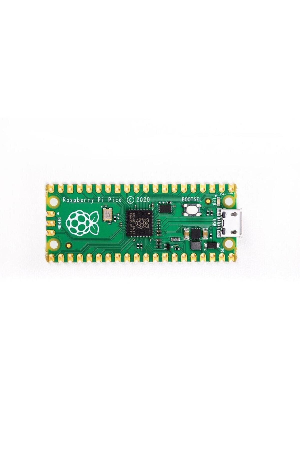 Raspberry Pi Pico (&Ccedil;in &Ccedil;ipli)